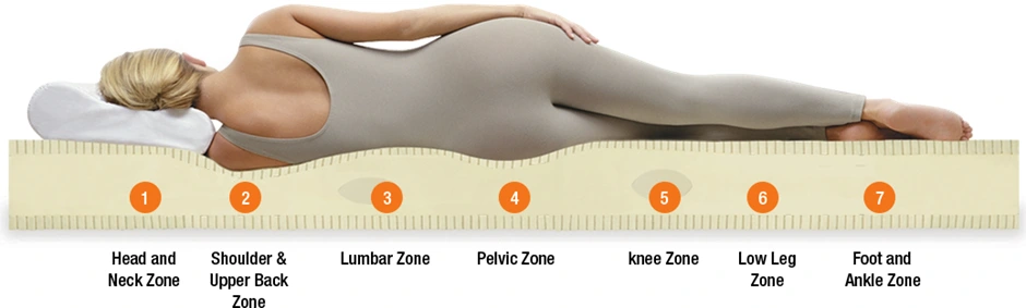 7-Zone-Latex-Mattress | The SleepFit Mattress