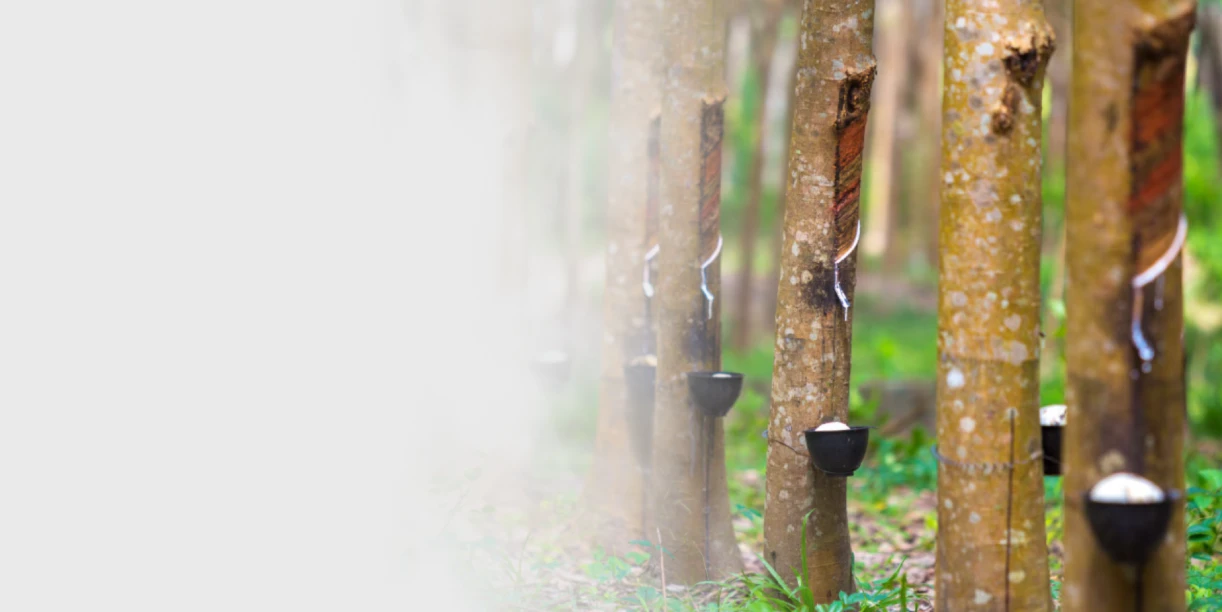 Made from Natural Latex | TheSleepFit.com